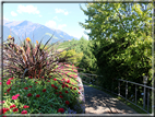 foto Giardini Trauttmansdorff - Boschi del Mondo